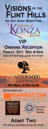 Visions of the Flint Hills 2014 VIP ticket